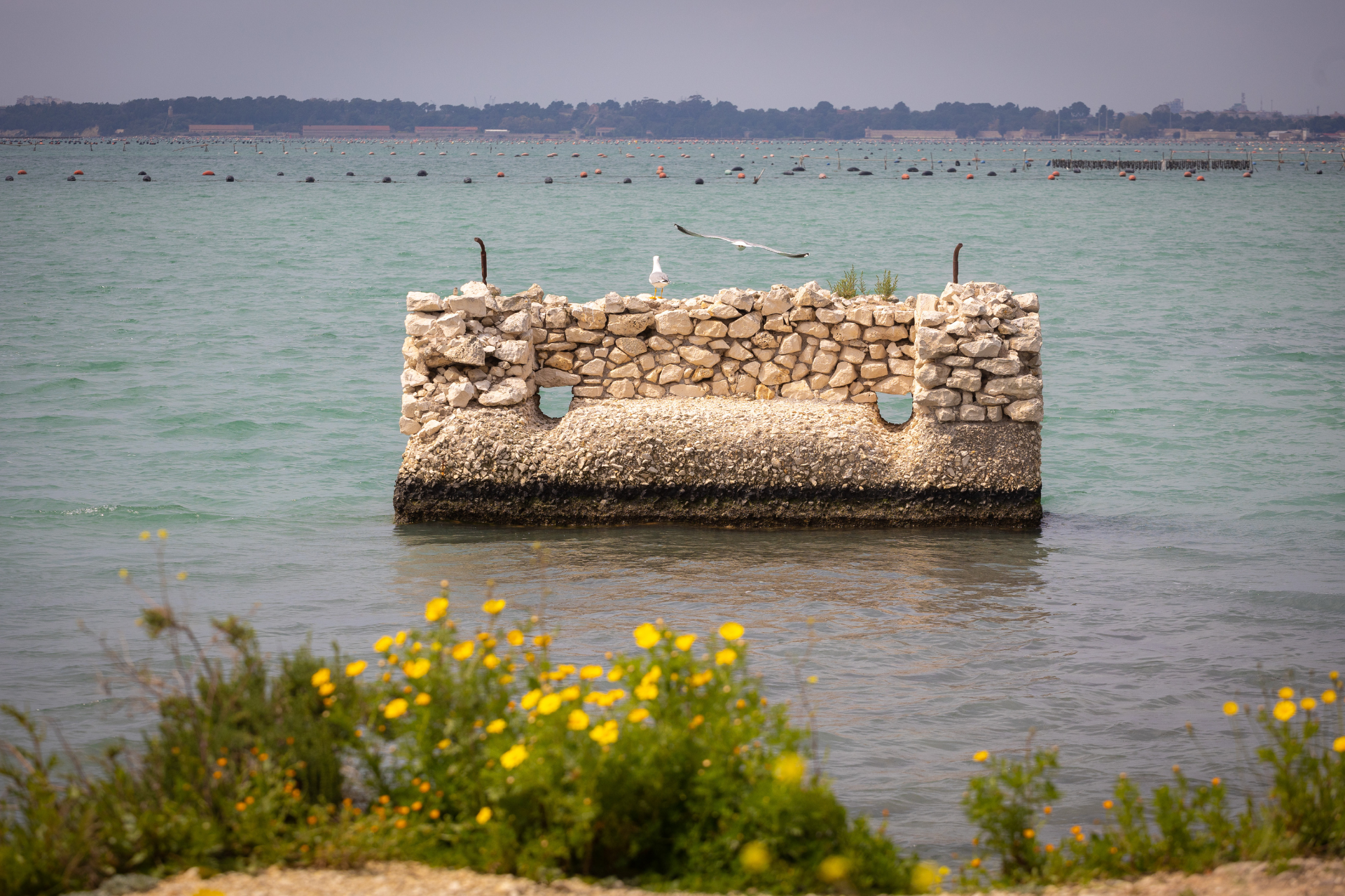 Intorno al Mar Piccolo