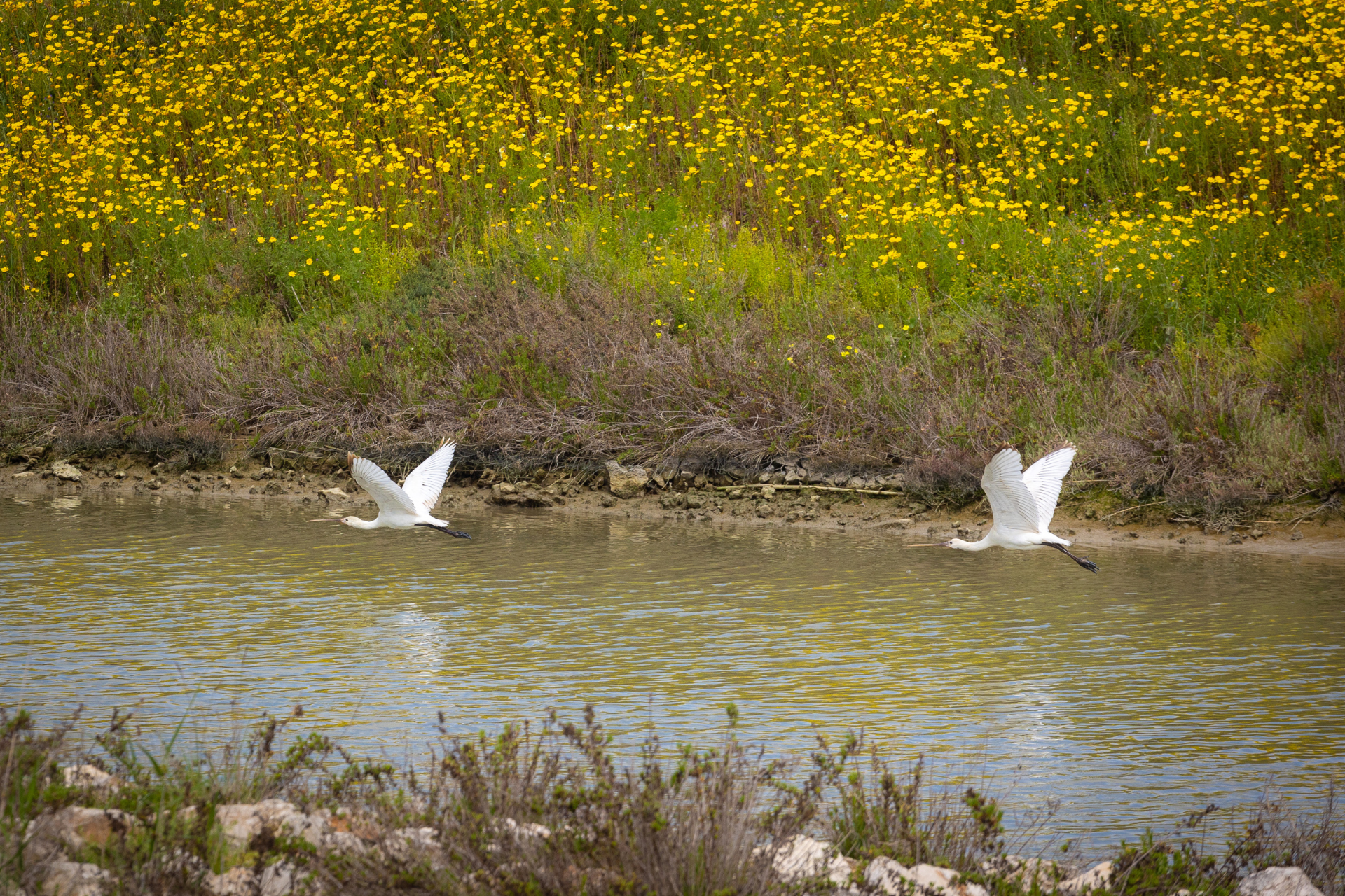 Dal Cuore della Città alla Natura Tarantina